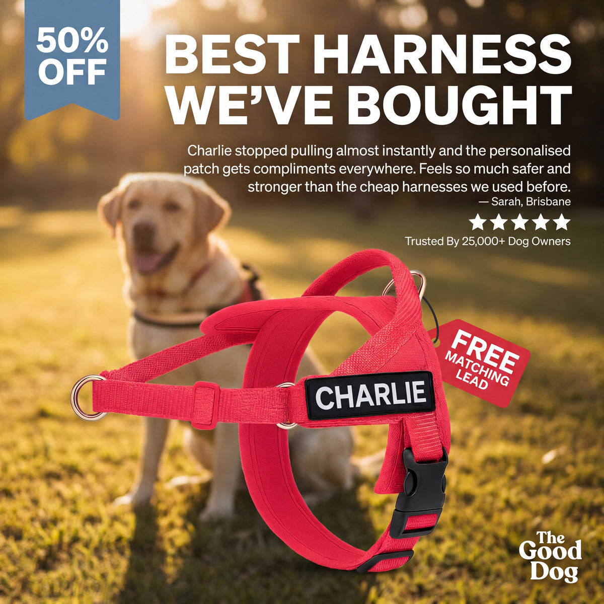 Personalised No-Pull Reflective Dog Harness