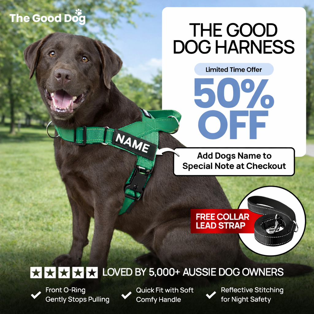 The Good Dog Harness
