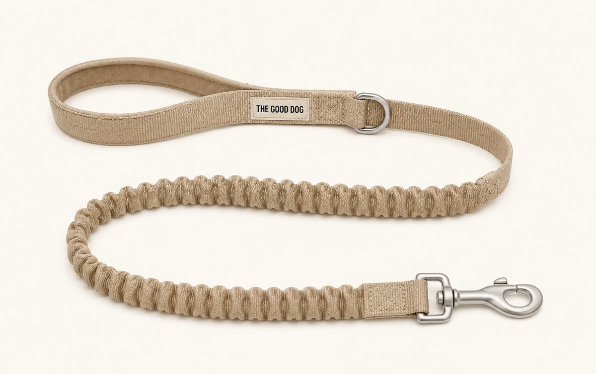 The Good Dog Bungee Lead