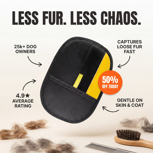 The Good Dog Hair Mitt