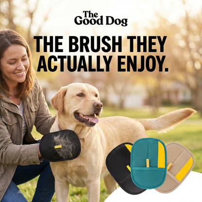 The Good Dog Hair Mitt