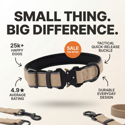 The Good Dog Collar