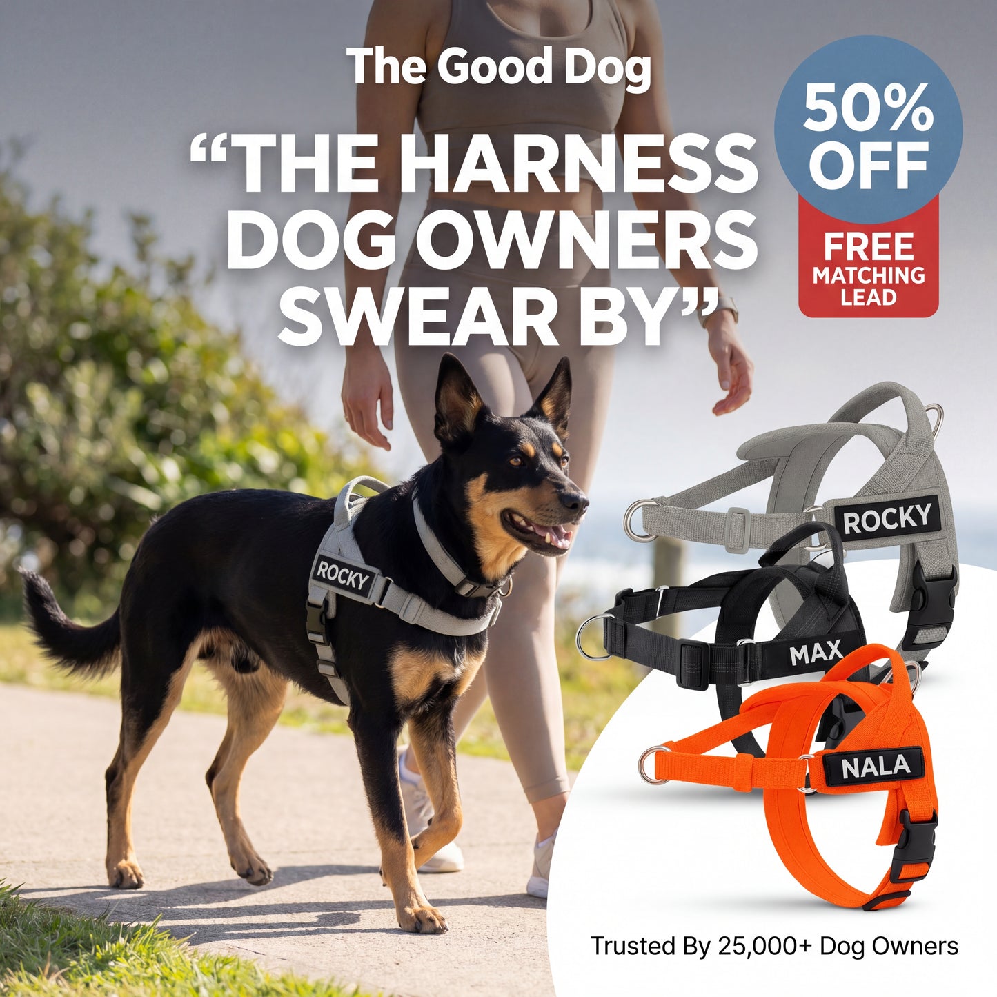 The Good Dog Harness