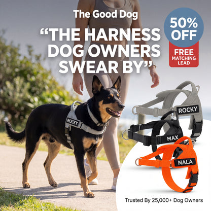 The Good Dog Harness