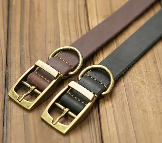 The Good Dog Leather Collar Gift