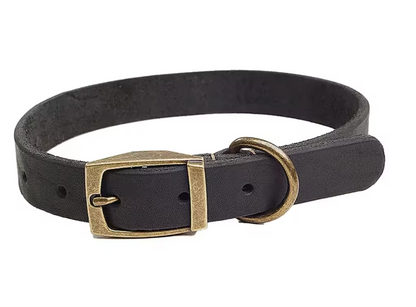 The Good Dog Leather Collar Gift