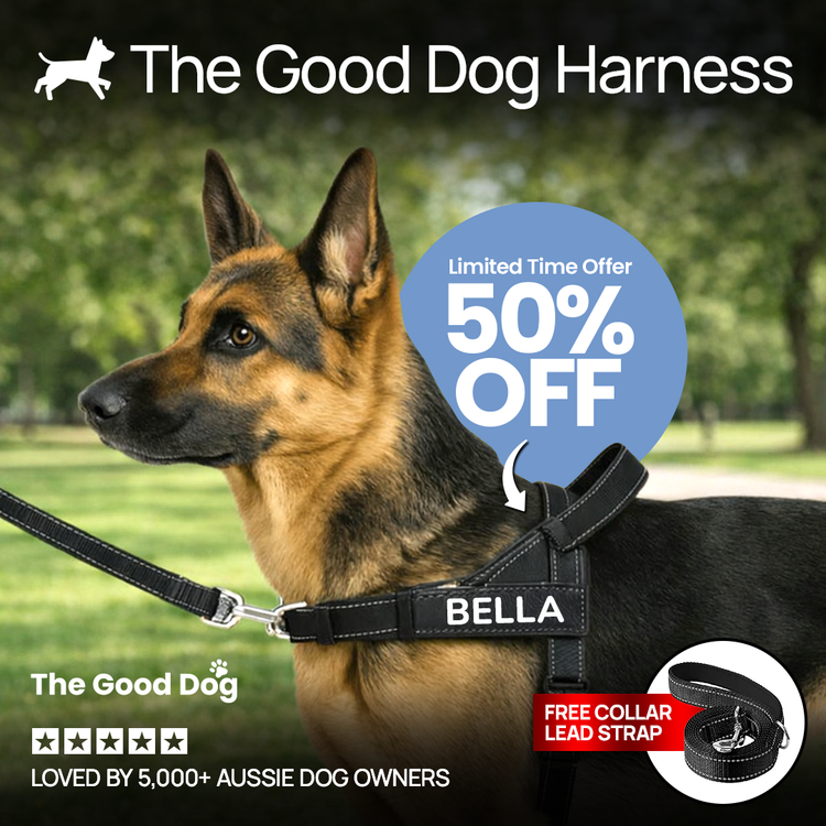 The Good Dog