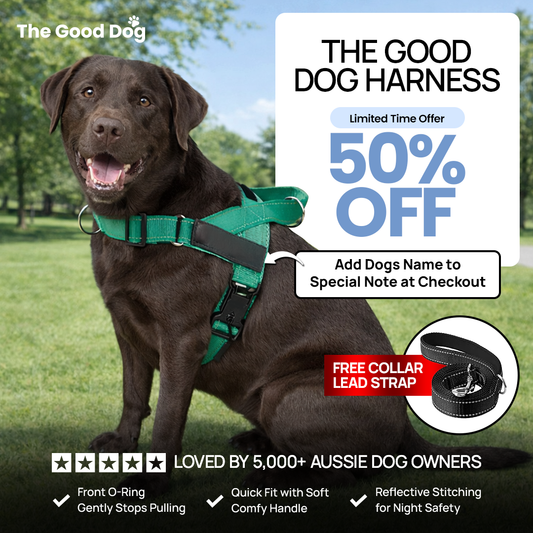 The Good Dog Harness