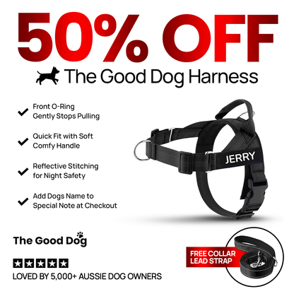 The Good Dog Harness