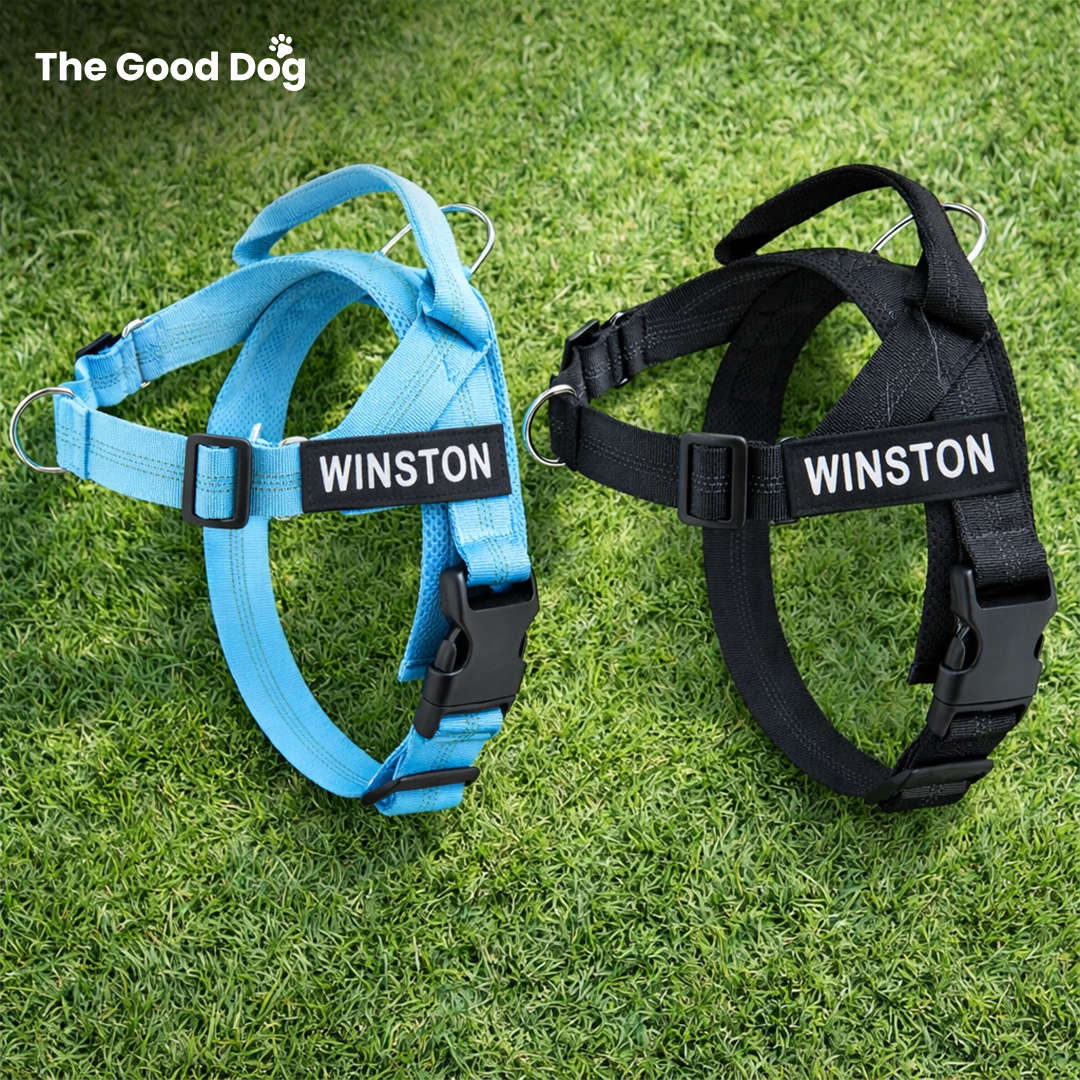 The Good Dog Harness