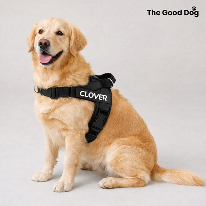The Good Dog Harness