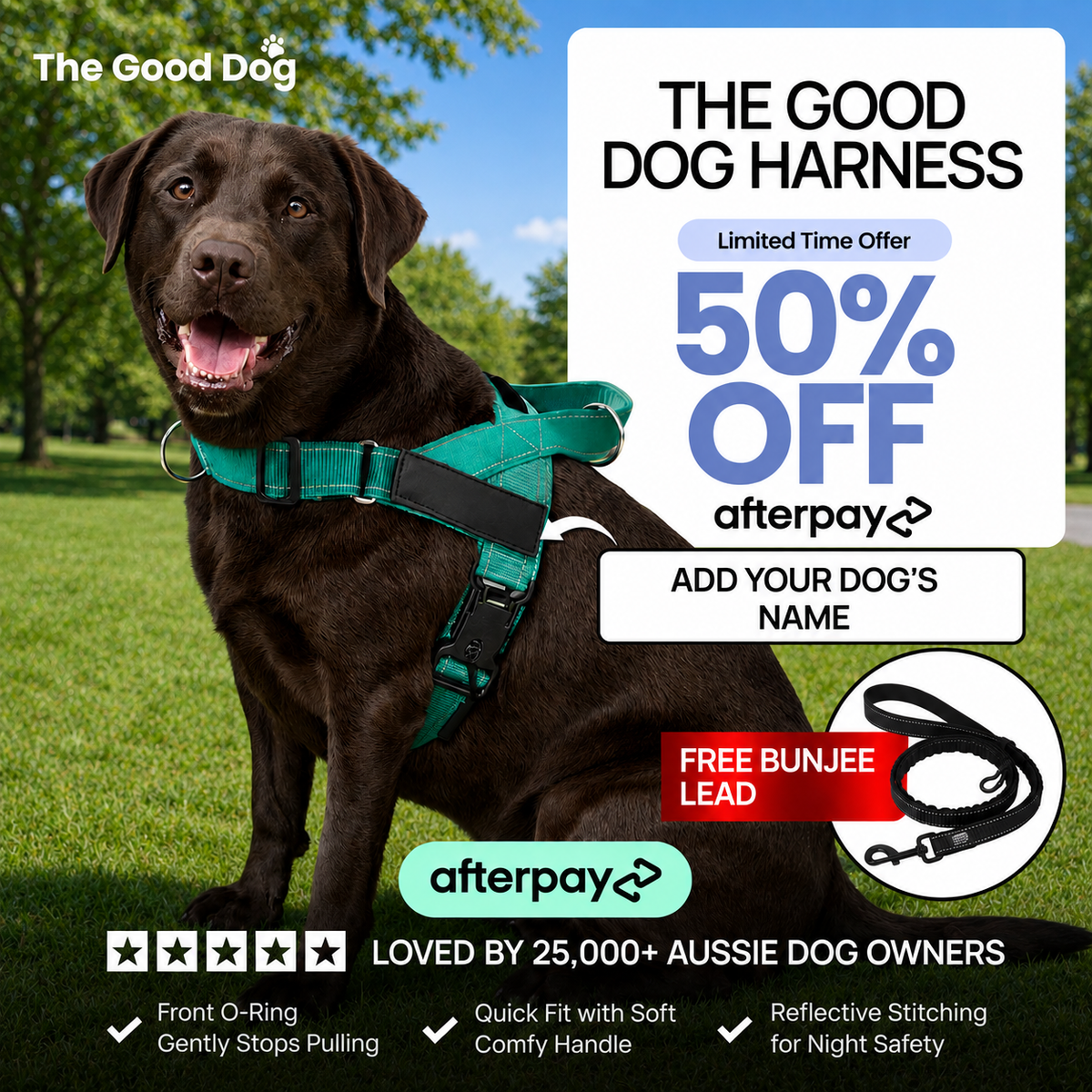 Personalised No-Pull Reflective Dog Harness